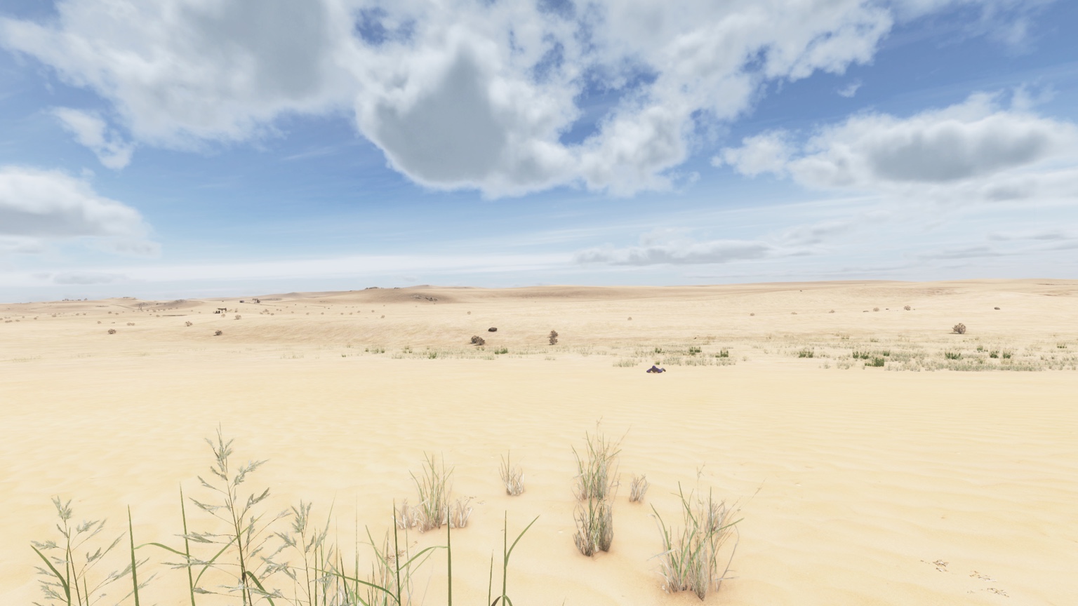 Open dunes and desert grasslands on Bluest Badlands