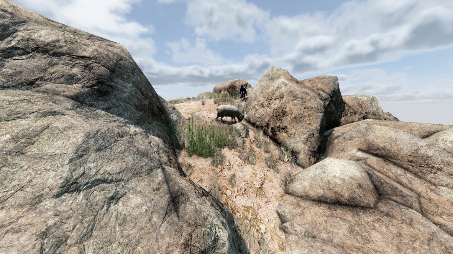 A survivor perched among the rocks on Bluest Badlands